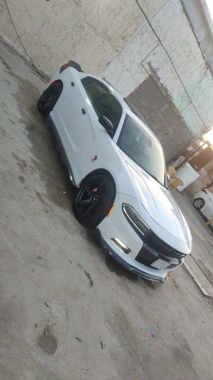 جارجر كندي داخله للعراق اكلين ١٦ اصل امرمزه ١٧ فول جلد خزن ميموري فتحه تخم تاير استوني شاده صارله ٢٠يوم  حداديه صار ٢٠ يوم من امسويها حادثهه بلعراق جاملغ وبنيد فقط سعر١٧٥ وبيهه مجال ترحم اماورس حسب القناعه /***********
