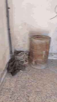 الحي الانتصار • بيت ١١٠م • بين ٣٠ و٦٠