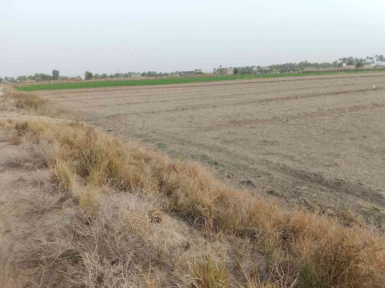 سلام عليكم 🚩
عرض جديد ✨🚩
قطعه ارض طابو زراعي سند 25✨🚩
المساحه 10دوانم تباع كلها اونص منها✨🚩
ماء سقي متوفر صيف شته ارض حلوه وزراعيه✨🚩
تبعد عن التبليط وعن الخدمات 450متر✨🚩
العنوان طريق السده محاويل منطقه الناصريه ✨🚩
السعر وباقي تفاصيل خاص او اتصل
‏‪***********‬‏
