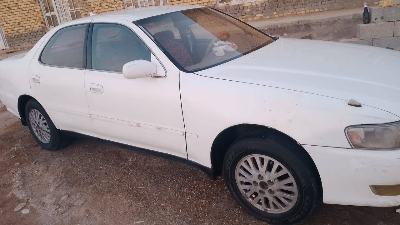 مراوس باحدث وانطي فرق حسب القناعه... جاهزه... فقط تلحيظات... ناصريه غراف *********** بيه واتساب فقط
