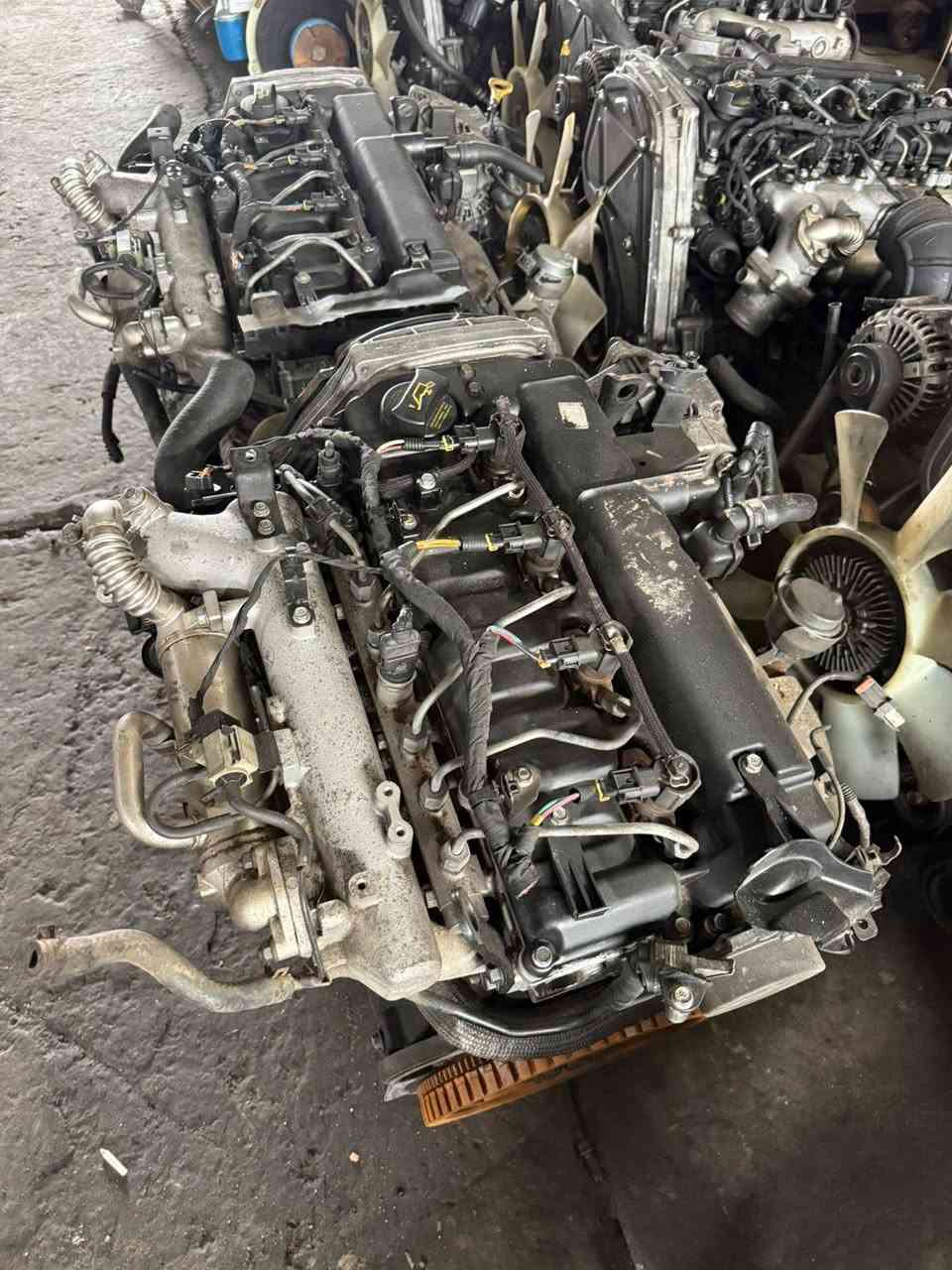 تم بحمد الله تعالى وصول
محركات ستاركس 2007
محركات سورنتو حديث
محركات سورنتو 2007
محركات ستاركس سبلاين
محركات مجول حمل
سوبر دبلو
+ نوزلات 2007 +طربه كاز 2007+طربه كاز دبلو
سيت نوزلات ستاركس 2012
عنوان بابل شوملي ***********
***********
