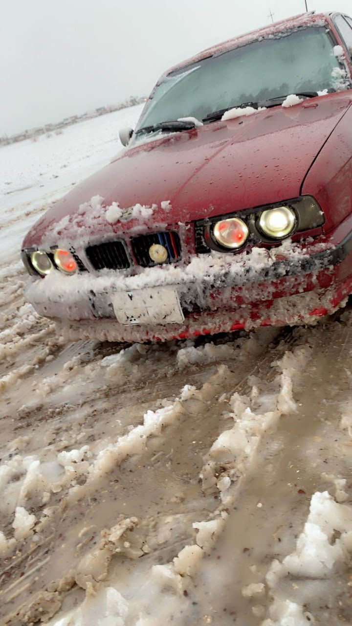 Bmw1995مه كينه 525دبل ديجيتال ناو سپي سلايت پئش گه وره ويل ئيم پئشو پشتي تازه گؤراوه حدادي به شرت مه كينه به شرت جاملغه جي پئشه وه لئدراني هه يه له گلا پشتي ماباقي هه موي به شرت بؤ زانياري ره قم ته له فؤن واتس ئاب***********.        9وه ره قه خه رامه ي له سه ره دواي معمله ديده مه وه أربيل, العراق
