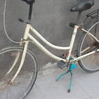 باسكل • مقاس ٢٦ • بابل القاسم