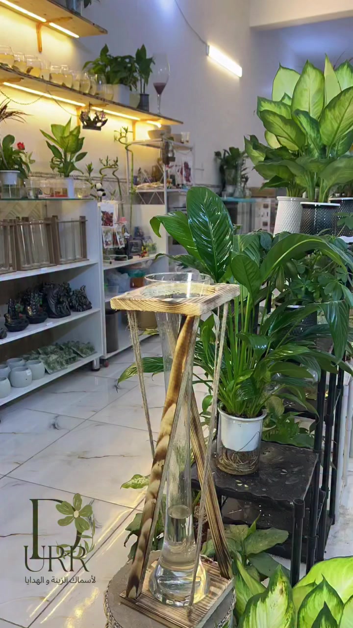 لايك وتعليق ع البيج لطفا🌹🌹🌹


**إذا كنت صاحب هذا الإعلان وتريد حذفه لأي سبب، رجاءا أرسل رسالة إلى الدعم الفني**