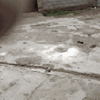 دار للبيع • قطاع الثاني • ٢٠٠م