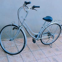 باسكل • ٢٦ • فحم