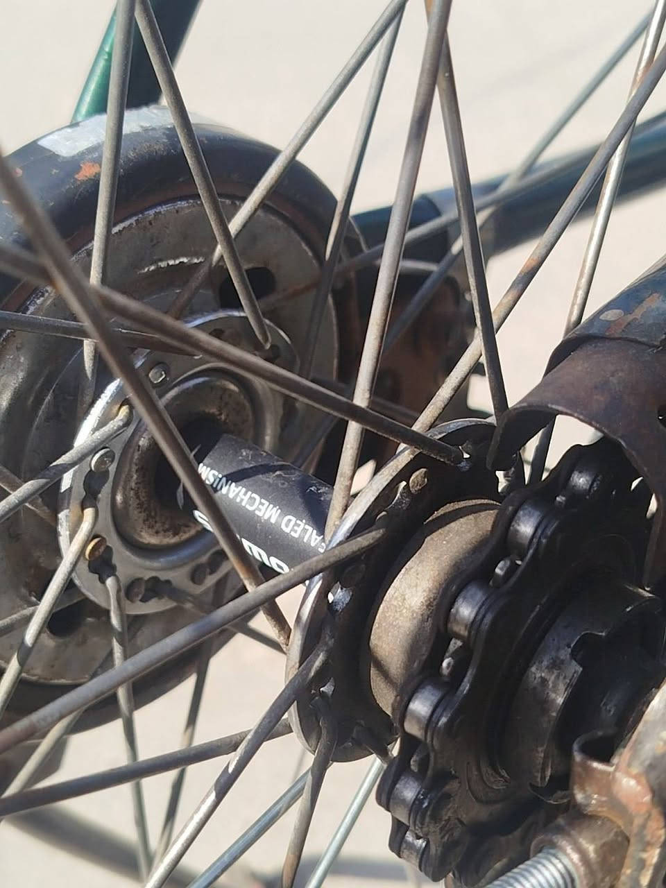 السلام عليكم باسكل للبيع السعر 100بي مجال 
موديل 15شركه كلوف باسكل اي عيب مابي مكان 
كركوك فيلق 👍🏿اذا شراي تعال خاص


**إذا كنت صاحب هذا الإعلان وتريد حذفه لأي سبب، رجاءا أرسل رسالة إلى الدعم الفني**