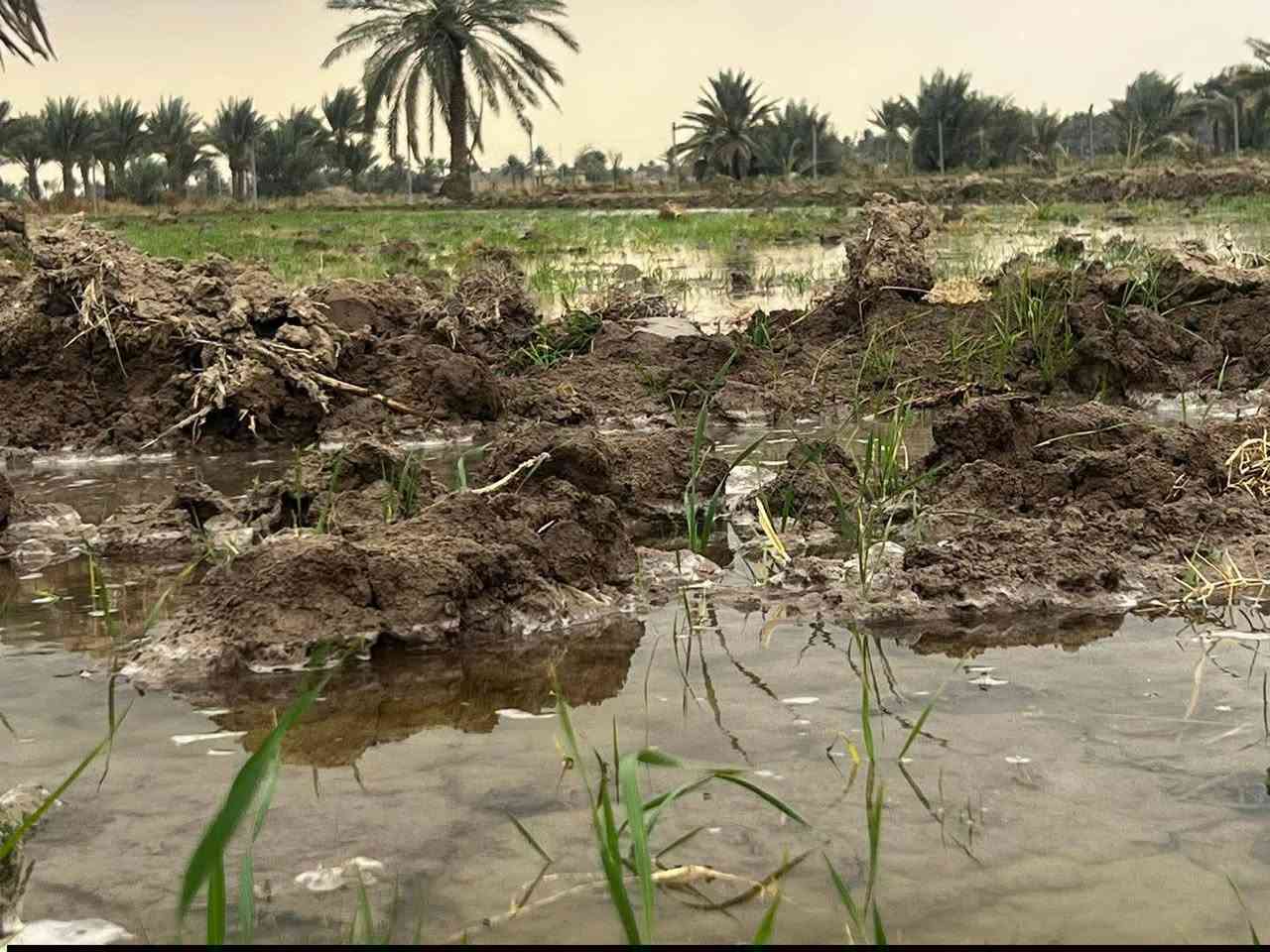 الاستفسار أكثر الاتصال على الرقم
***********
