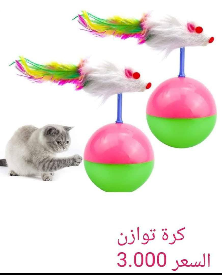 🐱🤍 كل احتياجات قطك بمكان واحد!

نوفر تشكيلة مميزة من مستلزمات القطط:
✨ أكل صحي
✨ رمل ممتاز
✨ ألعاب ودلال
✨ عناية وتنظيف

أسعار مناسبة وجودة تريحك وتريح قطك 🐾
🚚 توصيل سريع لكل المحافظات

لا تفوتون العروض 🔥
📩 راسلونا خاص والطلب يوصل لباب البيت

#cat #قطط #مستلزمات_حيوانات #قطط_لطيفةcatshop


**إذا كنت صاحب هذا الإعلان وتريد حذفه لأي سبب، رجاءا أرسل رسالة إلى الدعم الفني**