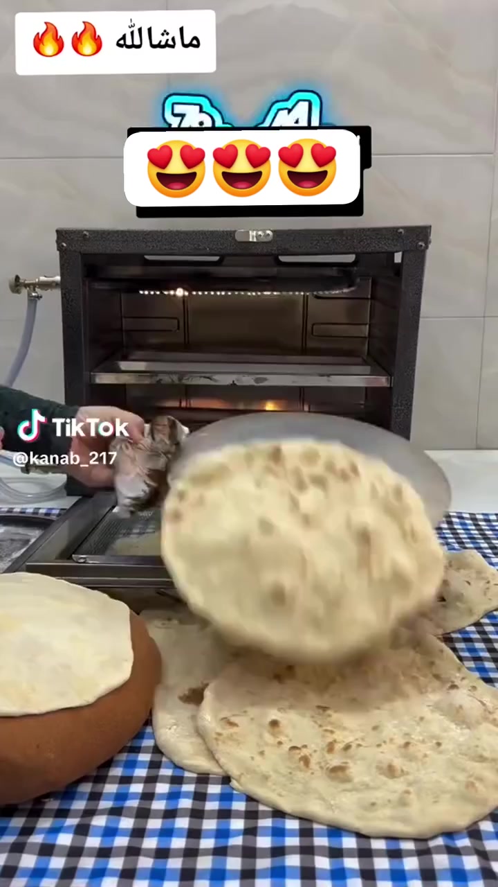 مفاجئة معمل الموصل 💯 💯 💯
اوفن مصبوغ لون اسود حراري 🔥 ⚡ 🔥 🔥 ✌️ 💪
بليت مغلون وبيه عازل حرارة من الجناب جامة حراري 💪 💪
كيج 06 ثقيل ⚡ ⚡ ⚡ 🔥
مع ٢ صينية دائري قياس ٣٥ سم 👌👌💪⚡
شغل تكمة درجة أولى 👌 👌
مع الملحقات منظم وصوندة ومفاتيح الغاز وقفايص 💪 💪 👍
توصيل لكل محافظات العراق مجاني 🚚 🚚 🚚 🇮🇶🇮🇶🇮🇶
للحجز والاستفسار مراسلة الصفحة 📲 📲 📲 📲
السعر💥💥 70💥 الف💥💥


**إذا كنت صاحب هذا الإعلان وتريد حذفه لأي سبب، رجاءا أرسل رسالة إلى الدعم الفني**