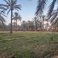 دونم ونص • طريق الزوار • سكني وتجاري