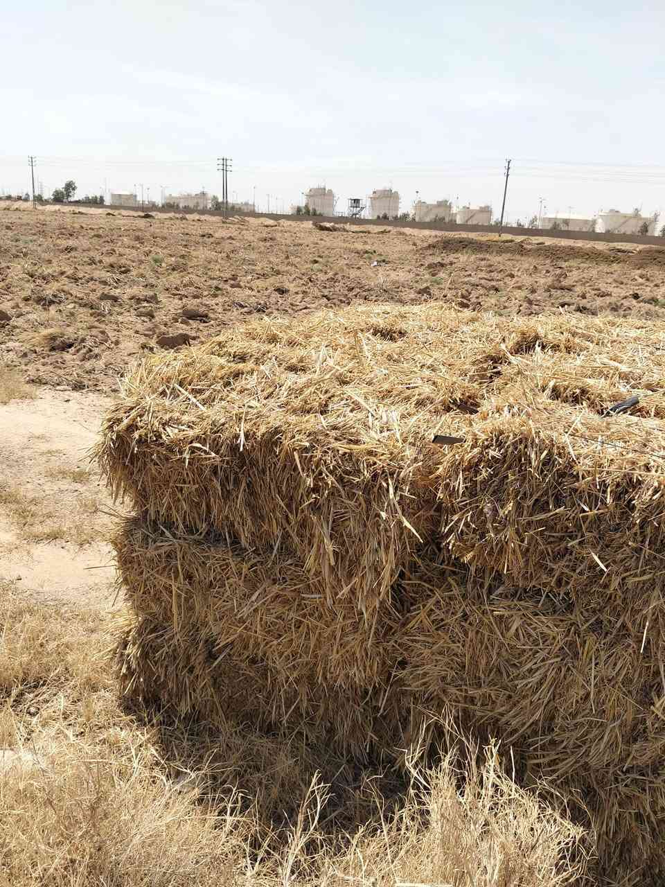 كبسات تبن سويتر للبيع
***********

