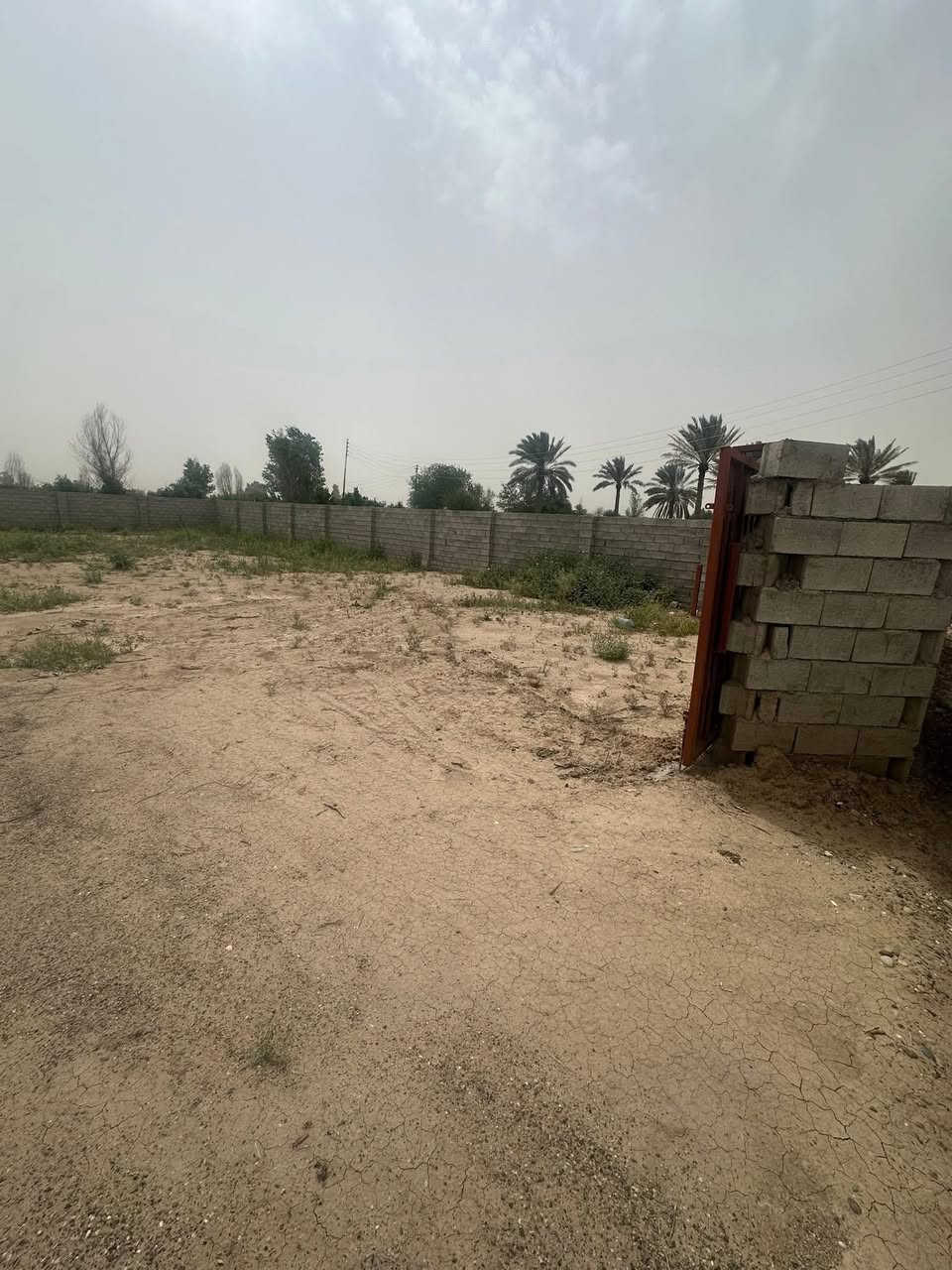 السلام عليكم ورحمة الله وبركاته
يوجد نص دونم مسيج بلوك 

طابو زرعي 

واصل مي وكهرباء 

العنوان العلم  العالي قرب محلات السكماني قرب مضيف القواسم  

سعر جدا مناسب 

الاستفسار اتصل  
***********

وحياكم الله

