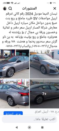 التيما • ٢٠٢٤ • رقم اربيل