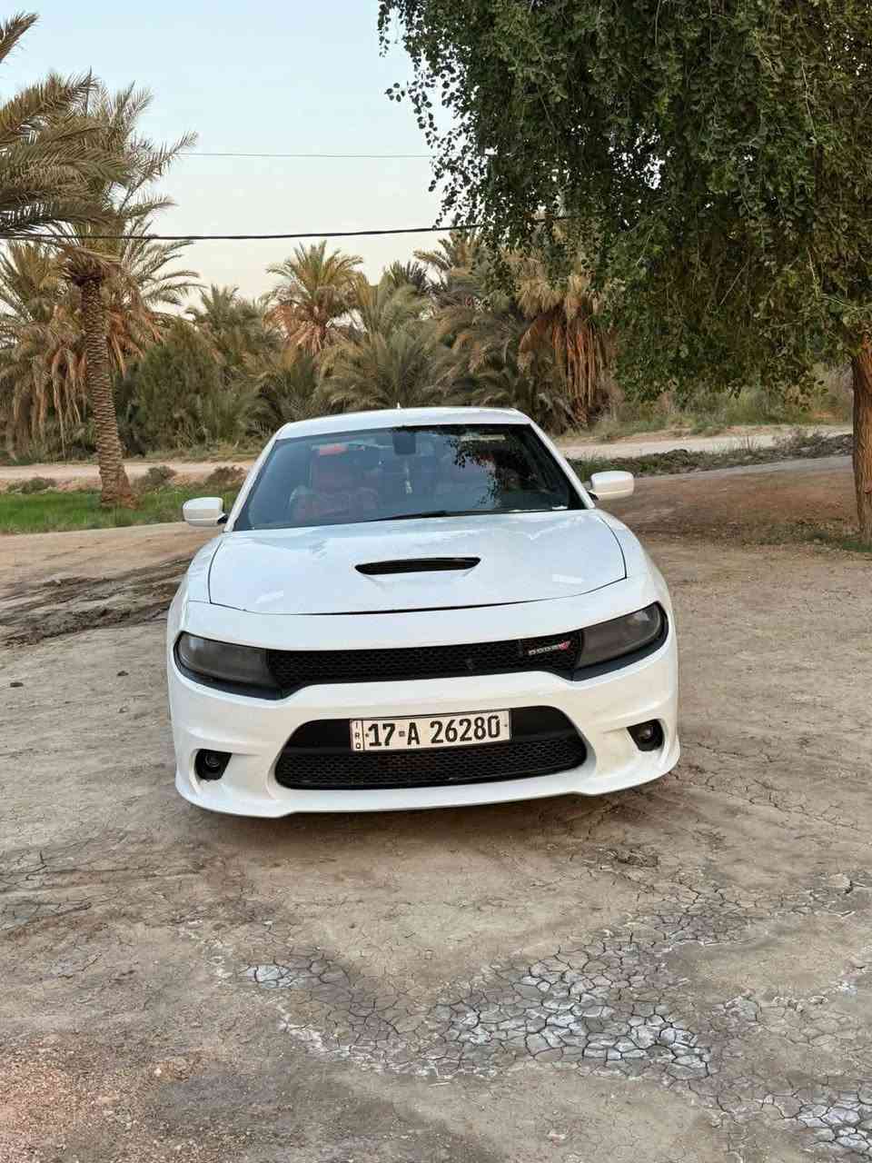 يالله سلام عليكم جارجر مديل 2017اصل رقم مثنئ.
سياره جاهز كفاله كير مكينه حداديه اكسن تخم تاير
دواخل جديده كشن حضن حار بارد، بيه اربع قطع بدون دواخل سياره خير من الله ترايك للسعوديه السعر 158
17718146567


**إذا كنت صاحب هذا الإعلان وتريد حذفه لأي سبب، رجاءا أرسل رسالة إلى الدعم الفني**