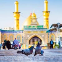 🎀بسم الله الرحمن الرحيم🎀  تعلن حملة مدينة الحرية للزيارات والعتابات ال...