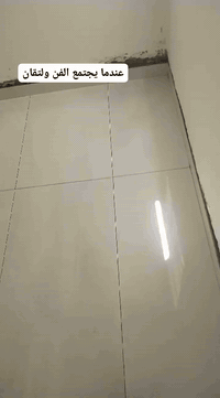 📸 من شغلنا بالسيراميك 🔥
إبداع + دقة = نتيجة تخبل ✨
الستفسار ***********
