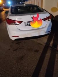 لوحات اربيل • دواخل جلد • موديل ٢٠١٣