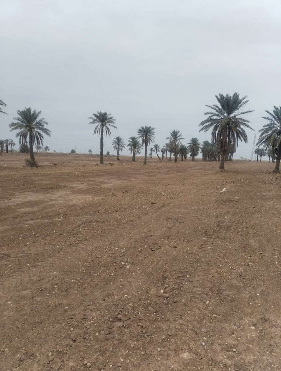 السلام عليكم 
توجد ١٠ دوانم طابو زراعي سند ٢٥
كوت طريق العام  بغداد قرب مركز شرطة السلام
وجه الكاع ٧٥ متر والطول ٤٥٠ متر متوفر جميع الخدمات للاستفسار الاتصال على الرقم ***********
***********
