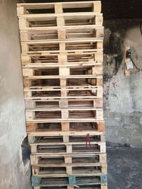 سكيبه • قياس ١٠٠/١٢٠ • عدد ١٠٠