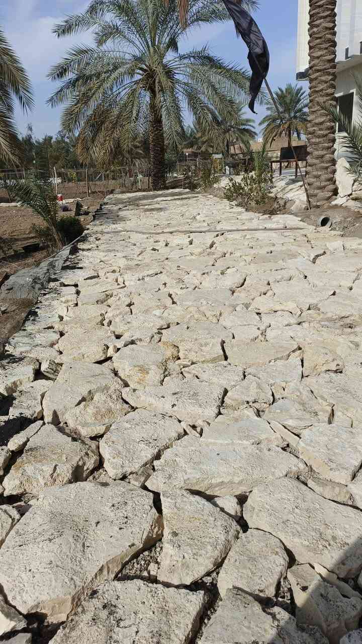 ***********+++***********
