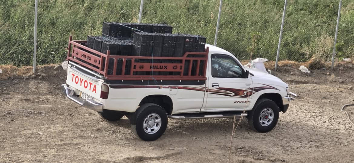 السلام عليكم جمرة 2003للبيع فورويل دبل اكسل كله شغال من دعامية لدعامية مكفولة تحويل اصلي رقم أربيل بس بونيد بي صبخ حار بارد كاربايي كلة شغال سعرة شدة***********
