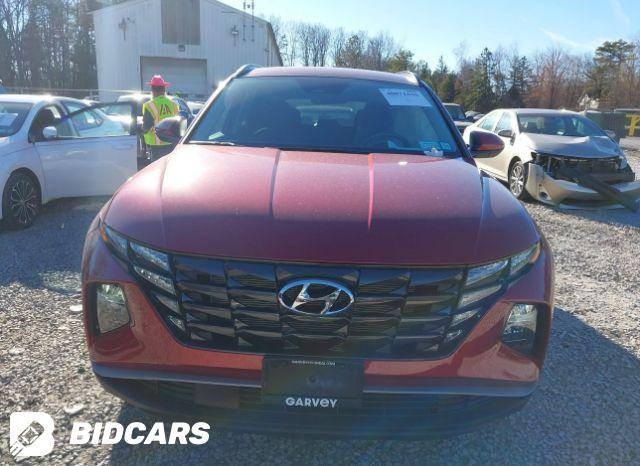 السلام عليكم هونداي توسان موديل 2024 امريكي مرقم بغداد بأسمي حادث موضح بألصور بدون تبديل بدون صبغ بارد فقط ايرباك برده مواصفات بصمه كرسي كهرباء تدفئه كراسي جنطه كهرباء تشغيل عن بعد شاحن واير ليس محرك 2500 دفع رباعي ماشيه 4200 ميل السعر 220 بيع فقط مكان السيارة بغداد الدورة الاستفسار الاتصال
***********
