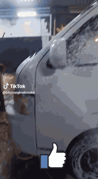 محطة كراج حويدر للعناية بالسيارات ترحب بكم العنوان /بابل /الحصوة /طريق بغداد مجاور معجنات وحلويات ياس الحمداني نتشرف بزيارتكم لنا دمتم في رعاية الله وحفظه تحياتنا للجميع /*********** /***********
