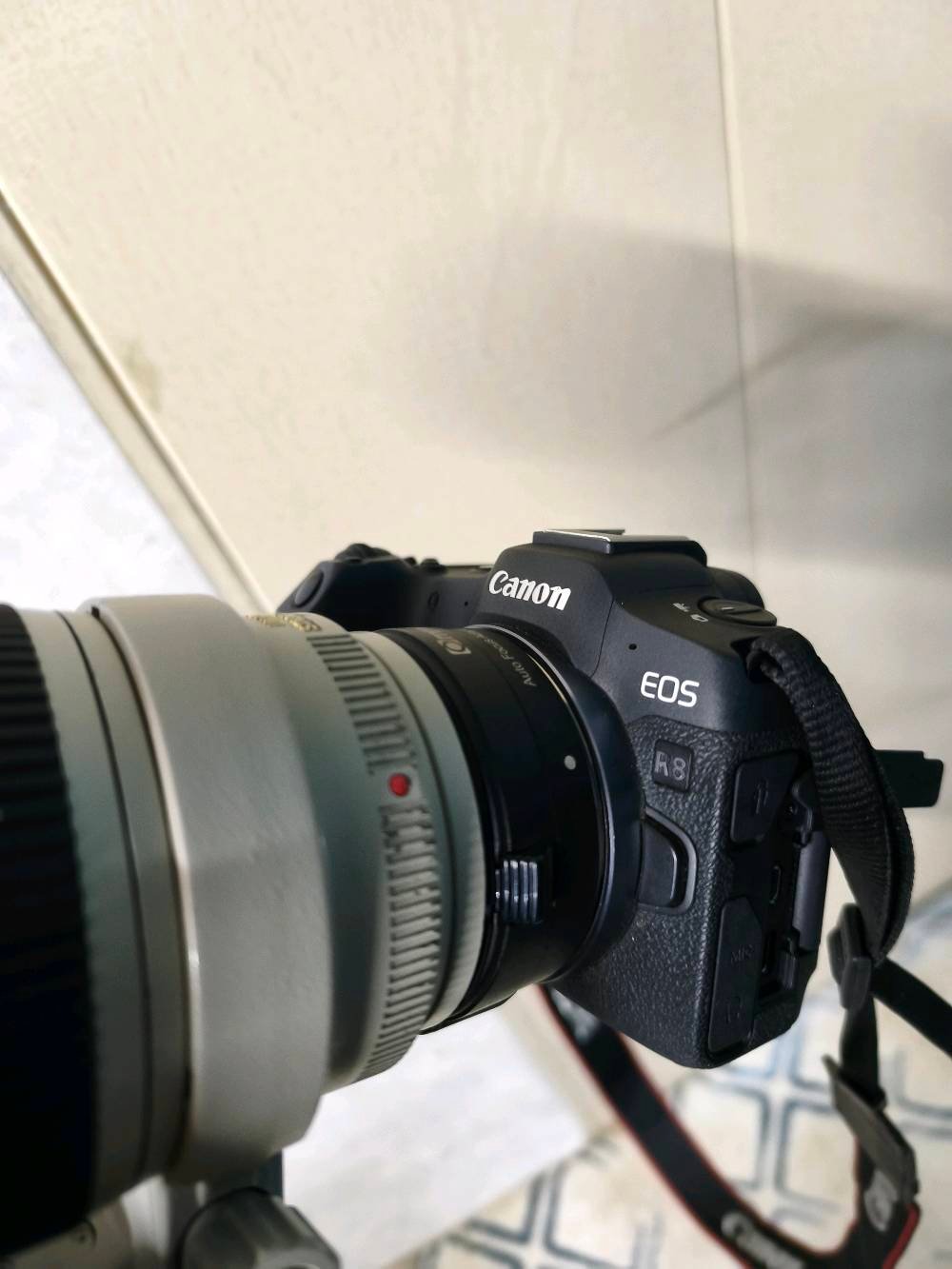 كاميرا كانون R8 + ادبتر + عدسة 70-200 فتحه 2.8 اصدار ثاني دبل ستبلايزر 