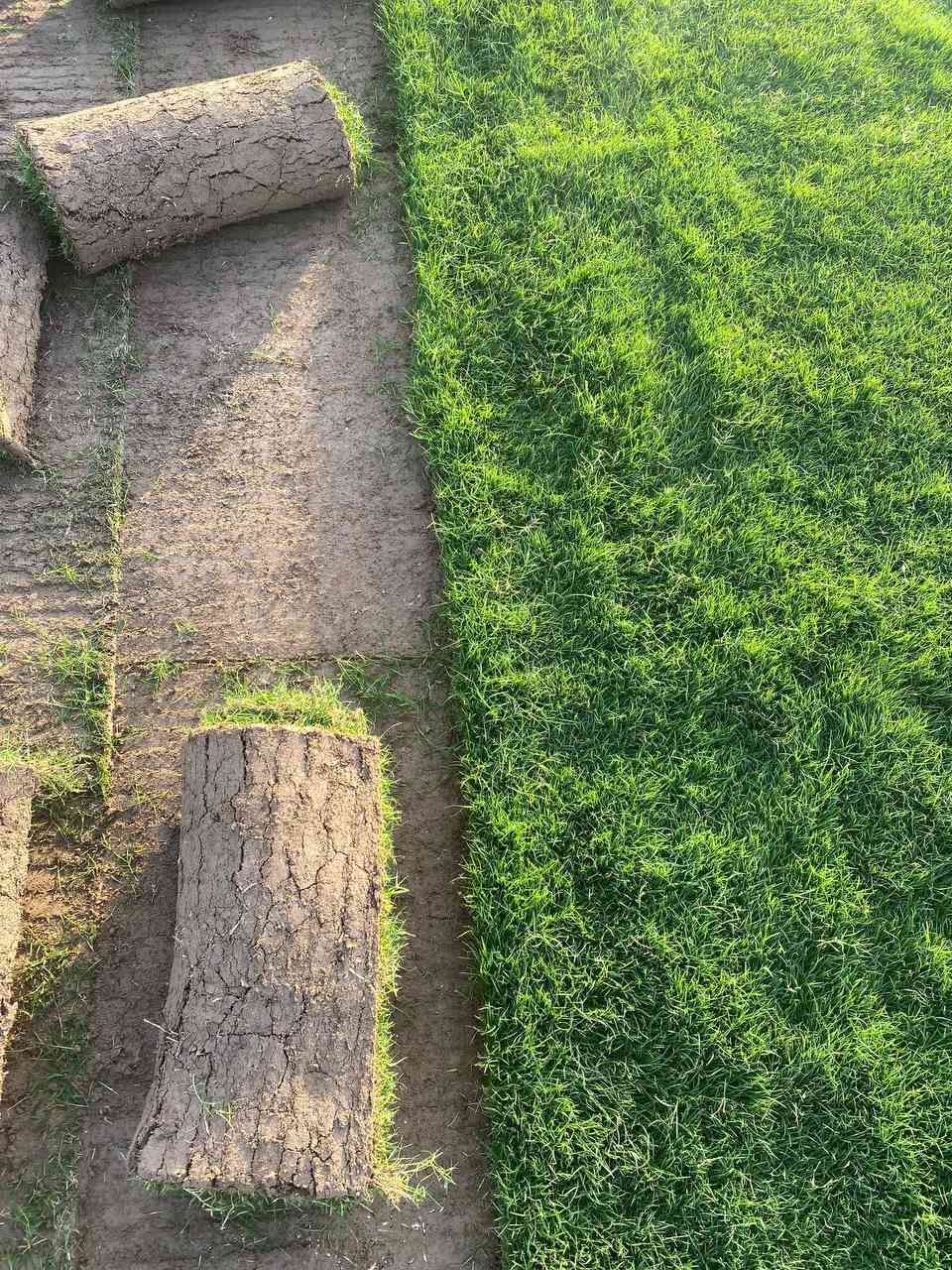 العين لتجهيز كافة انواع الثيل الطبيعي 🌿🌱
 نقدم لكم افضل انوع الثيل الطبيعي عالي الجوده يتحمل كافه الظروف البيئية🌦️🌞
الانواع المتوفرة (هندي - فرنسي - ايطالي )
#مستعدون لتجهيز وفرش الحدائق🏡 ودوائر الدولة🏡والمنازل🏡
و تجهيز الملاعب🏟️ والمنتزهات بانسب الاسعار مع #ضمان الجودة العالية في العمل👷
مع خدمة التوصيل كافة المحافظات 
#الاسعار 💵💸 تختلف حسب الكمية 
 التواصل مع الصفحة عن طريق ارسال رسالة على الوتساب او الاتصال
‏‪***********‬‏
‏‪***********‬‏
#العراق #بغداد
