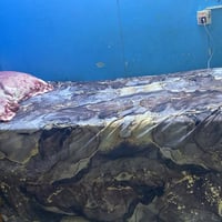 للبيع • سرير • أثاث