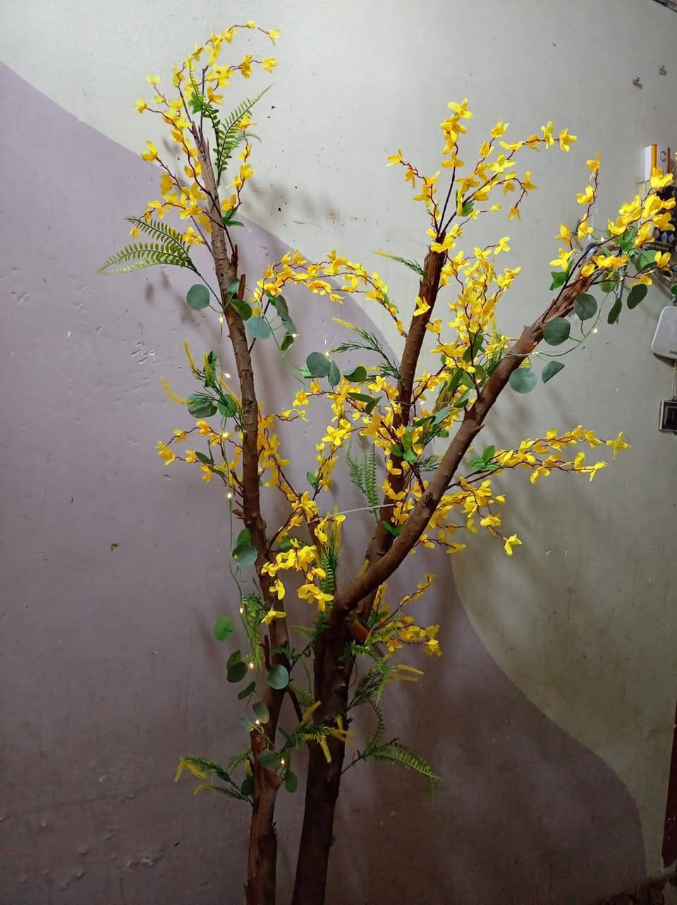 شجره جنن الجذع طبيعي للبيع هستوني سويته


**إذا كنت صاحب هذا الإعلان وتريد حذفه لأي سبب، رجاءا أرسل رسالة إلى الدعم الفني**