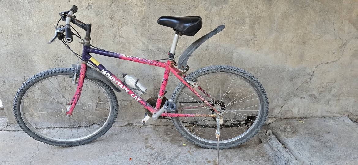 للبيع
1. دراجه هوائيه 100 الف 
2. اكس بوكس 360 سعر 95 الف 
3.باب بلاسك طول 240 طول عرض 94 
4. شباك بلاستك مربع 147 ×147 
5. قنفات 50 الف 
بيهم مجال شويه كل الأغراض المعروضه


**إذا كنت صاحب هذا الإعلان وتريد حذفه لأي سبب، رجاءا أرسل رسالة إلى الدعم الفني**