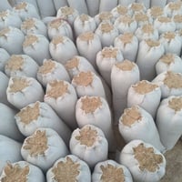 تبن حنطه • نضيف • كيس ٥٥