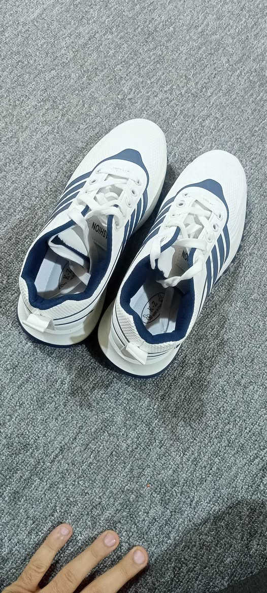 ترانشوز كوالتي كلش حلو باله ما مستخدم بالجيس قياس 41 السعر 10 مع التوصيل لمركز البصره البصرة, العراق


**إذا كنت صاحب هذا الإعلان وتريد حذفه لأي سبب، رجاءا أرسل رسالة إلى الدعم الفني**