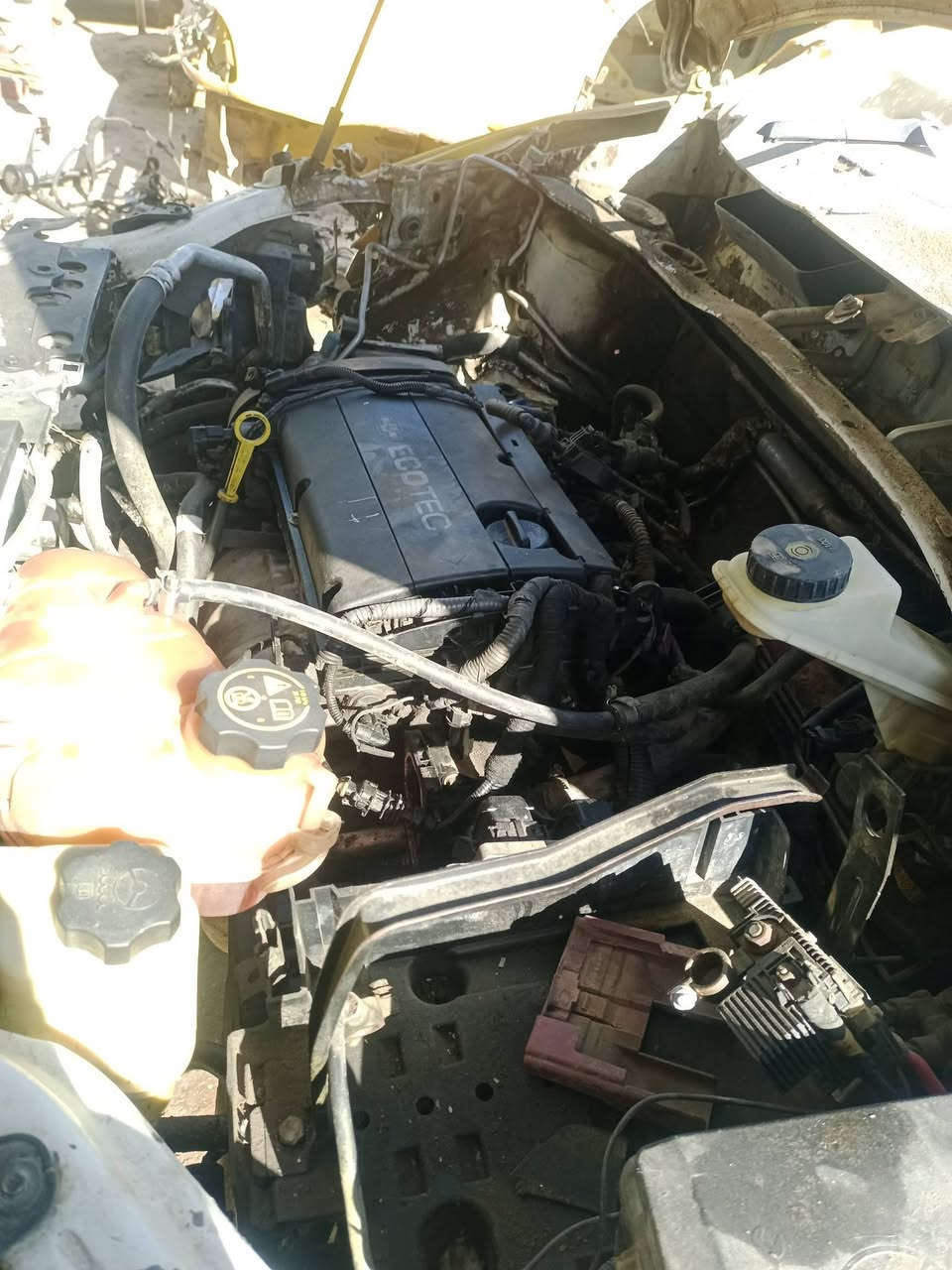 السلام عليكم ورحمه الله وبركاته 
تفصيخ راسم أبو محمد إيشي تحتاج موجود 
العنوان بغداد أبو غريب الزيتون 
كير ومكينه مكفولات 
***********
