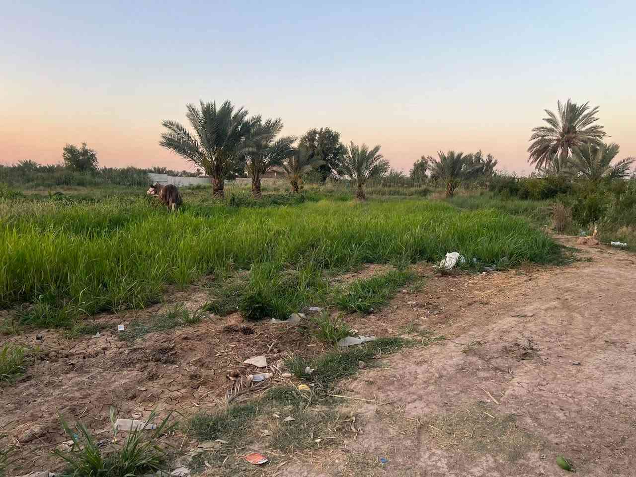 سلام عليكم للبيع بيت مع بستان المساحه 3 دونم قرب الجسر الفرنسي خلف مكتب الرحمن ***********
