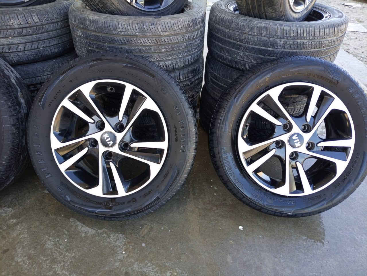 تخم ويل كب الانترة فورتي سيراتو حجم ١٥ اخو الجديد العنوان بغداد الشعلة ***********
***********
