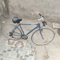 محور • سرج مكاني • الديوانية