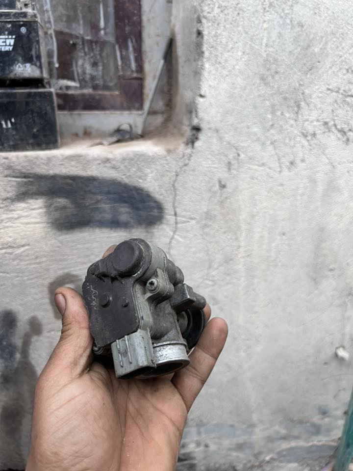 وسكنس جبلي سوادات حواضن 
قبق هندر هوه سواده جبلي 
قبق  هندر فحل فيت بمات
اصلي تفصيخ اي شي موجود
تفصيخ وصلي جيتي ار مكان شعب 
***********
