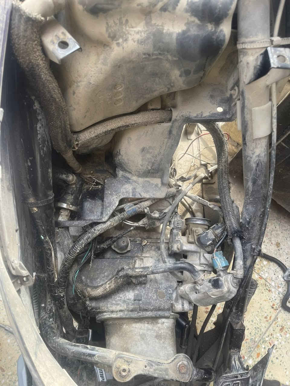 دراجة فجاء طفت مابيهة شي جان بيع كوم حديد ياباني حديث تايرات جدد صرنصة كلهة حلوة سلف شغال باتري جديد دراجة جنت روح بيهة للجادريه يوميه بيع كوم حديد بكاني بغداد ام الكبر ***********
