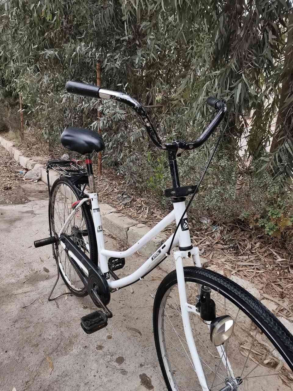 عبد الحليم
2022

ابيض 

نضيف

بريك كدام مابي

طفاريات موجوده

80وبي مجال

***********

ماشراي لا تخابر يرحم والديك
