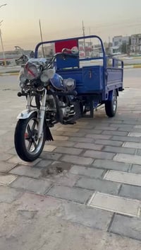 ستوتة • موديل 23 • أوراق أصلية