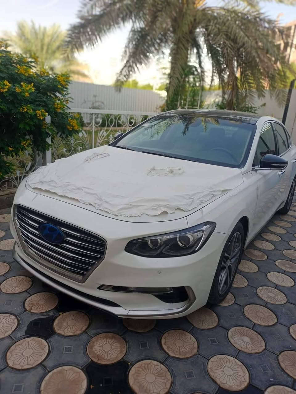 ازيراموديل 19 فول للاخير مكفوله كفاله عامه خليجيه محرك 3500 السعر دفترين قفل رقم اربيل بسمي ***********
