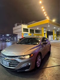 ماليبو • بدون صبغ • تعديل خفيف