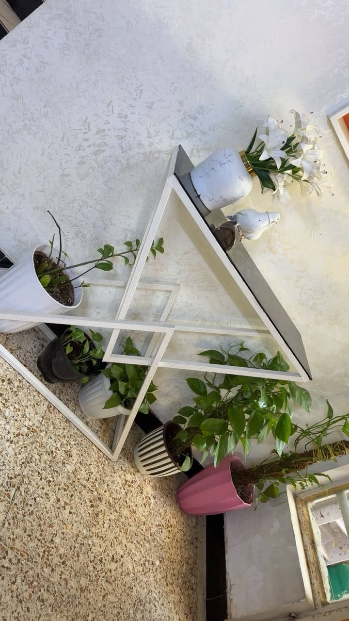 كونسول حديد وزجاج٣٠ الف


**إذا كنت صاحب هذا الإعلان وتريد حذفه لأي سبب، رجاءا أرسل رسالة إلى الدعم الفني**