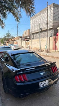 موستنك ايكو بوست • ٢٠١٧ • حادث دعاميات