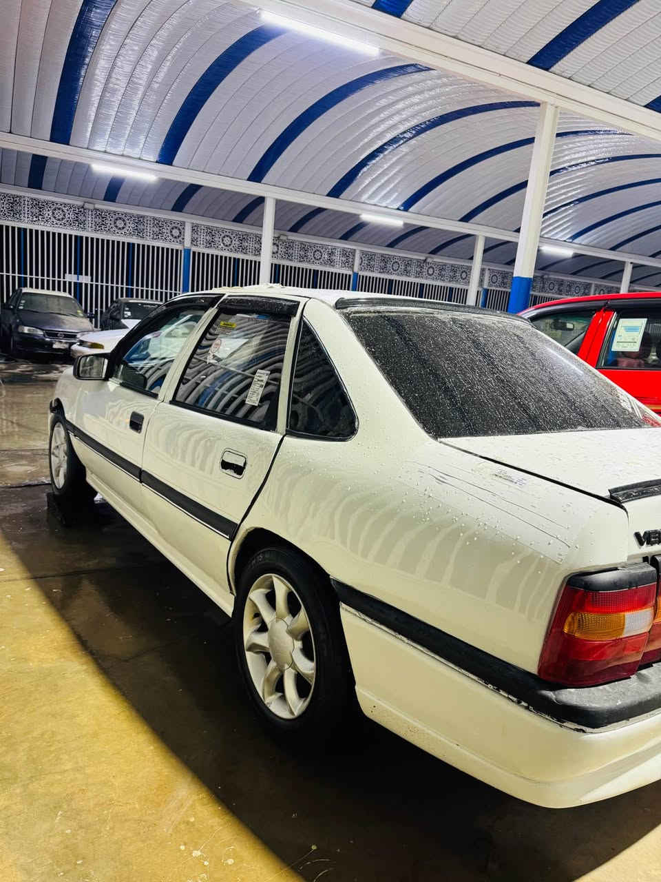 ماشالا شتي هه رزانوو جوان 
ئؤپل ڤيكترامؤديل 1991مه كينه 16 زده يه پاوه ره ته نها ئارم پلاستيك سليمانيه ئه وه ليات به شه رت توندوو تؤليي به شه رت چوارتايه ويليي لوك لوكه سه ياره كه تابلي جوانه ده عامي نه وه توو سيه هه موو گيانيي به شه رت توندو تؤله شوين كؤيه پاره يي علوجه ك قوفل قوفلي (22) گه لايه خوار هه موو بازار***********
*********** كويسينجاك, أربيل
