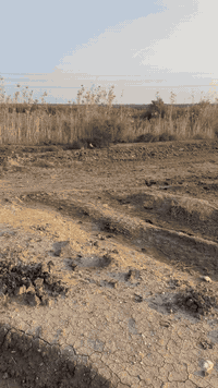 السلام عليكم
ارض زراعيه للبيع
المساحه  7 دونم  
الوجه 70 النزال 240 
الموقع طريق نصر دوايه ( مقابل فرع عتاب)

للإستفسار   ‭0782 932 3971‬
مكلف بالنشر !
