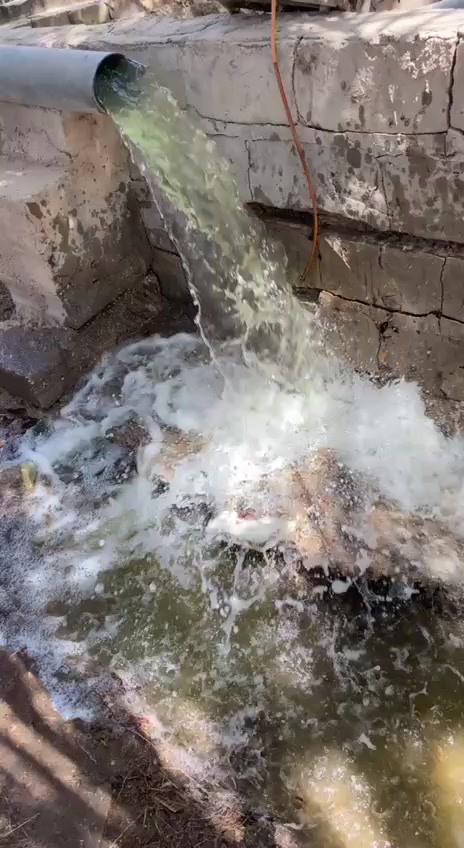 بستان للبيع مساحة 1950م2 من غير محرم البزل والنهر مع المحرم تكون المساحة اكبر
المكان :كربلاء حي العباس الدالية على مبزل الرزازة الكبير يبعد عن الامام العباس ع4كيلو 
الواجهة 22.5ركن على رئيسي و فرعي 
يقع مستقبلاً على دوار الحسين الثالث 
الخدمات تبعد عنه 600متر تقريباً 
يحتوي على دار مساحة 250م2الطابق الارضي 
والطابق الاول مساحة 300م2
يحتوي على اشجار متنوعة ونخيل متنوع 
السعر390 مليون قابلة للتفاوض للاستفسار الاتصال على ***********
